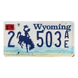 1999 Wyoming License Plate #2503AE