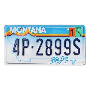 2000 Montana License Plate #4P2899S