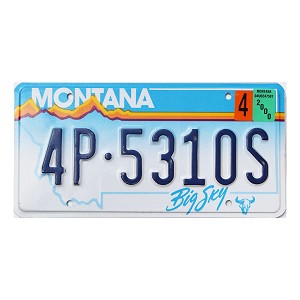 2000 Montana License Plate #4P5310S