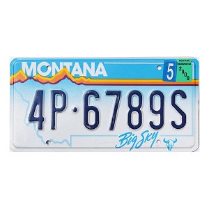 2000 Montana License Plate #4P6789S