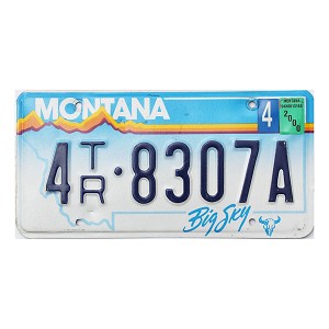 2000 Montana Trailer License Plate #4TR8307A