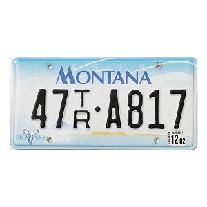 2002 Montana Trailer License Plate #47TRA817
