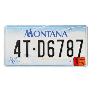 2003 Montana Truck License Plate #4TD6787