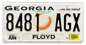 2004 Georgia License Plate #8481AGX
