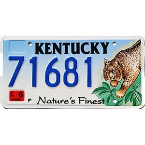 2004 Kentucky Lynx License Plate #71681
