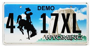 2002 Wyoming Demo License Plate #417XL