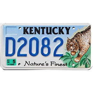 2006 Kentucky Lynx License Plate #D2082