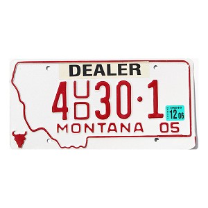 2006 Montana Dealer Used License Plate #4UD301