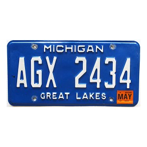 2007 Michigan License Plate #AGX2434