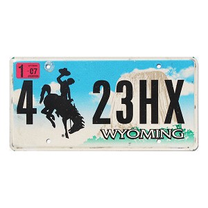 2007 Wyoming License Plate #423HX