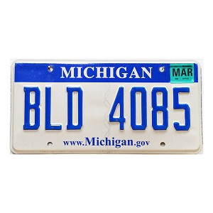 2008 Michigan License Plate #BLD4085