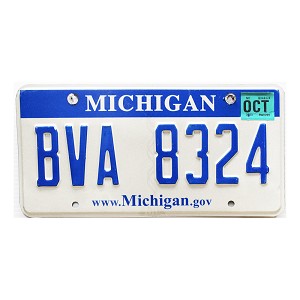 2008 Michigan License Plate #BVA8324