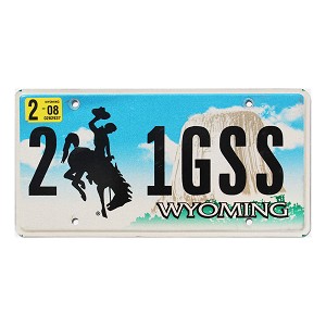 2008 Wyoming License Plate #21GSS