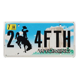 2008 Wyoming License Plate #24FTH