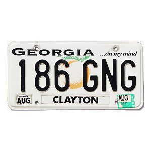2009 Georgia License Plate #186GNG