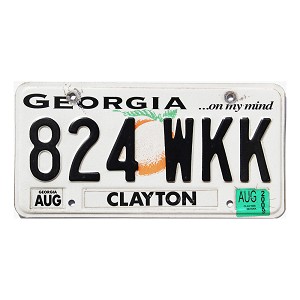 2009 Georgia License Plate #824WKK