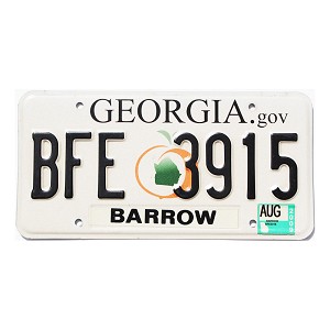 2009 Georgia License Plate #BFE3915