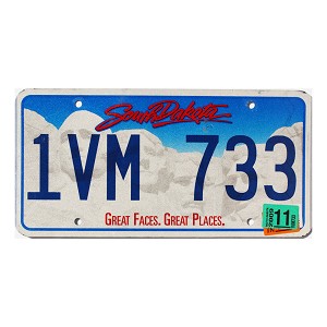 2009 South Dakota License Plate #1VM733