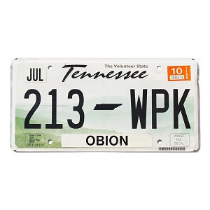 2010 Tennessee License Plate #213WPK