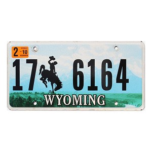 2010 Wyoming License Plate #176164
