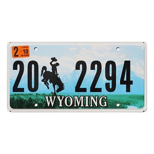 2010 Wyoming License Plate #202294