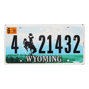 2010 Wyoming License Plate #421432