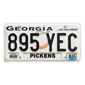 2011 Georgia License Plate #895YEC