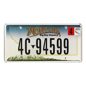 2011 Montana License Plate #4C94599