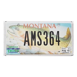 2012 Montana Trout License Plate #AMS364