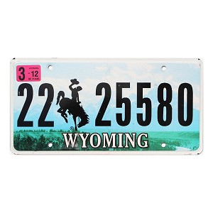 2012 Wyoming License Plate #2225580