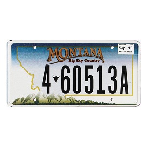 2013 Montana License Plate #460513A