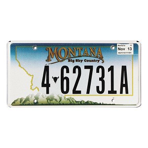 2013 Montana License Plate #462731A