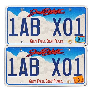 2014 South Dakota License Plates Pair #1ABX01