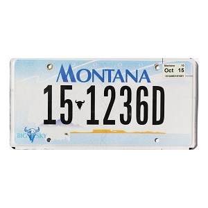 2015 Montana License Plate #151236D