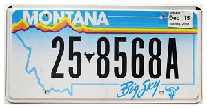 2015 Montana License Plate #258568A