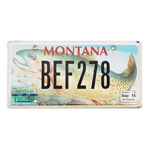 2015 Montana Trout License Plate #BEF278