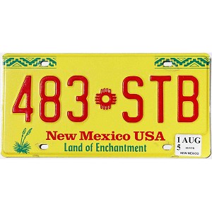 2015 New Mexico License Plate #483STB