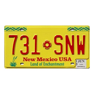 2015 New Mexico License Plate #731SNW