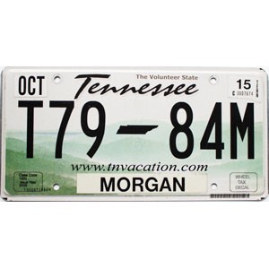 2015 Tennessee License Plate #T7984M