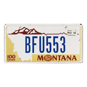 2016 Montana Centennial License Plate #BFU553
