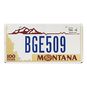 2016 Montana Centennial License Plate #BGE509