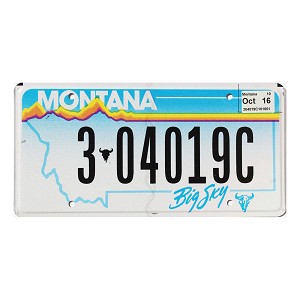 2016 Montana License Plate #304019C