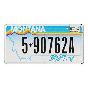 2016 Montana License Plate #590762A