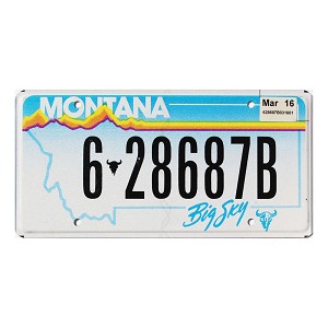 2016 Montana License Plate #628687B
