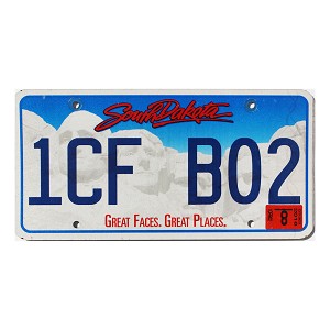 2016 South Dakota License Plate #1CFB02
