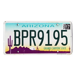 2017 Arizona License Plate #BPR9195