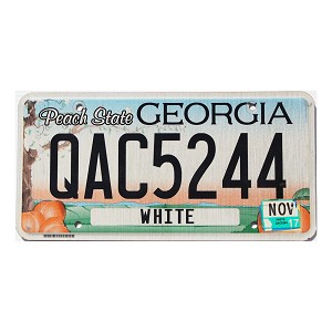 2017 Georgia License Plate #QAC5244
