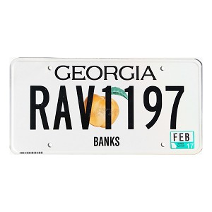 2017 Georgia License Plate #RAV1197