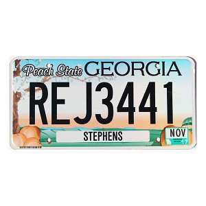 2017 Georgia License Plate #REJ3441