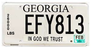 2017 Georgia Truck License Plate #EFY813